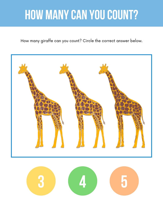 Little Learners Workbook