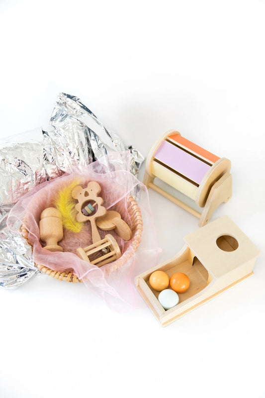 Baby's First Year Bundle - Tor's Story