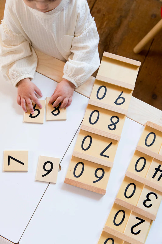 Montessori Seguin Number Board - Tor's Story