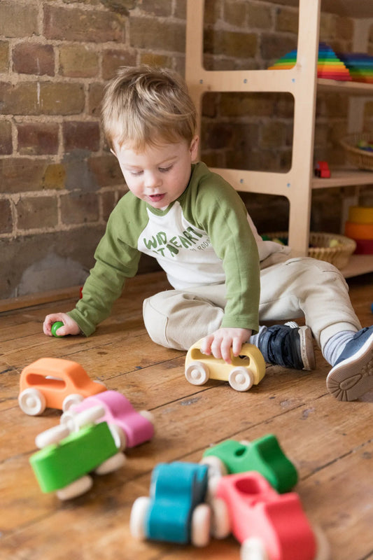 Rainbow Wooden Cars - Tor's Story