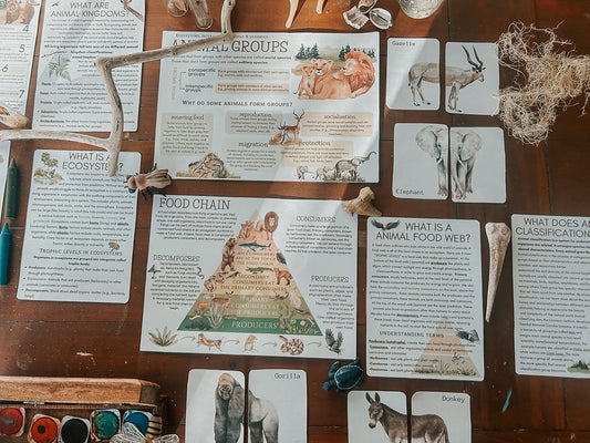 Animal Classification & Facts Study Pack | 49 Pages