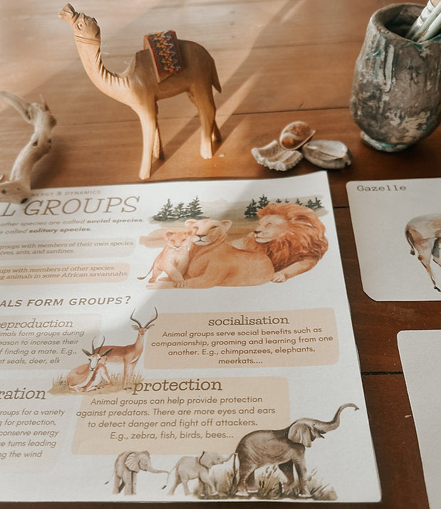 Animal classification study pack materials with illustrations of lions, gazelles, and a wooden camel figurine.