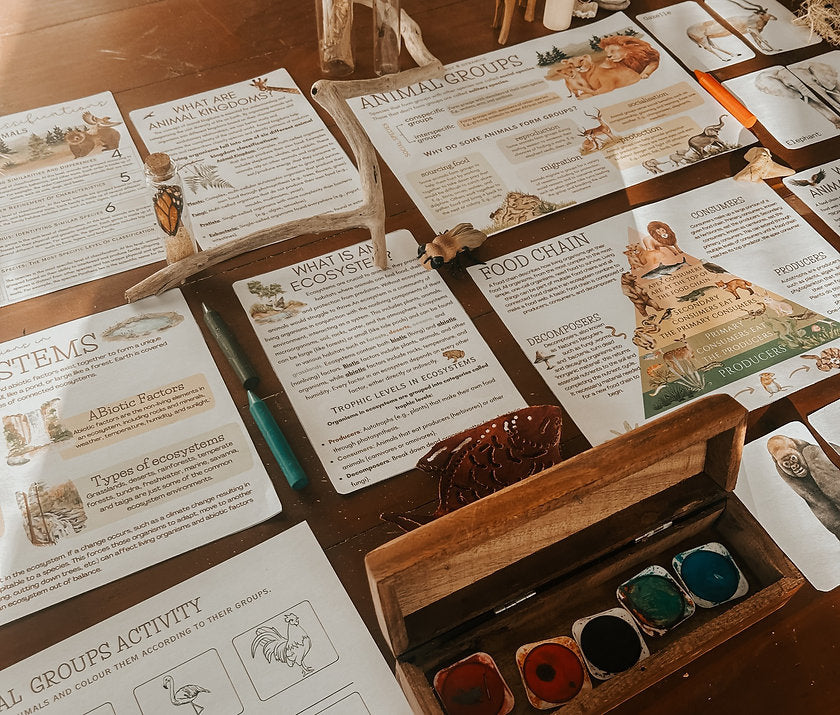 Colorful educational materials on animal classification, ecosystems, and food chains for children.