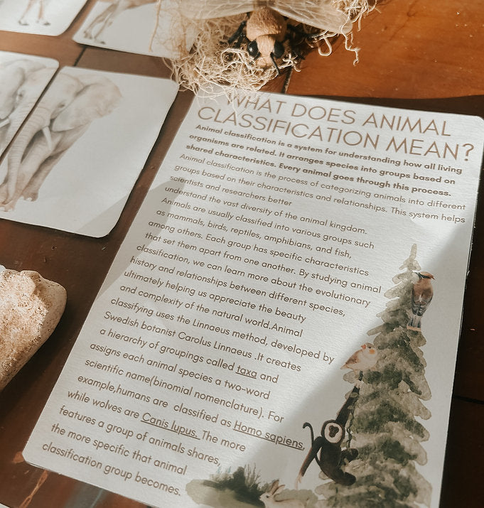 Informative page on animal classification, explaining groupings and evolutionary relationships among species.