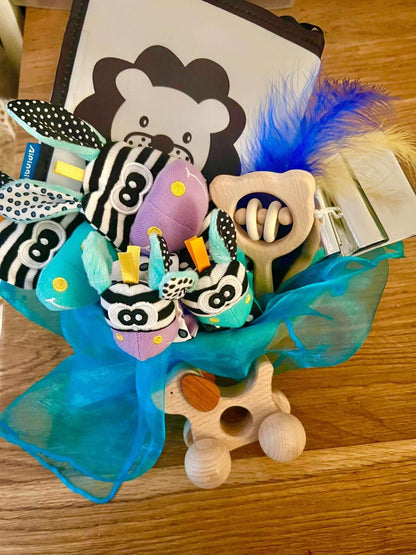 Newborn sensory basket with high contrast cloth book, wooden toy dog, Montessori inspired eco-friendly toys, and colorful sensory items