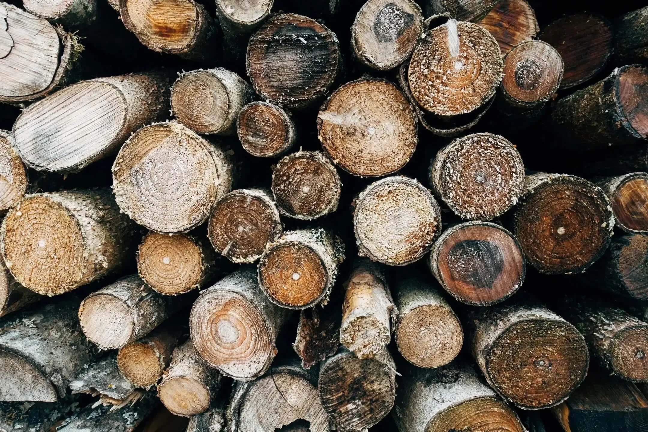 A pile of weathered logs demonstrating the sustainability of wood